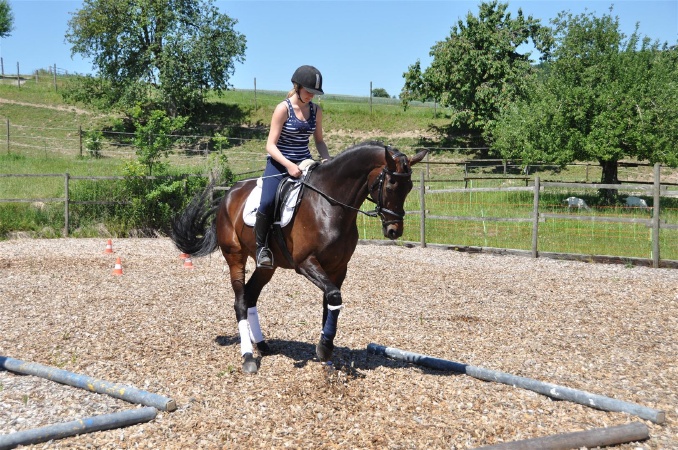 DSC_0530 - HOMEPAGE.JPG